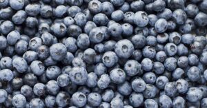 Blueberries