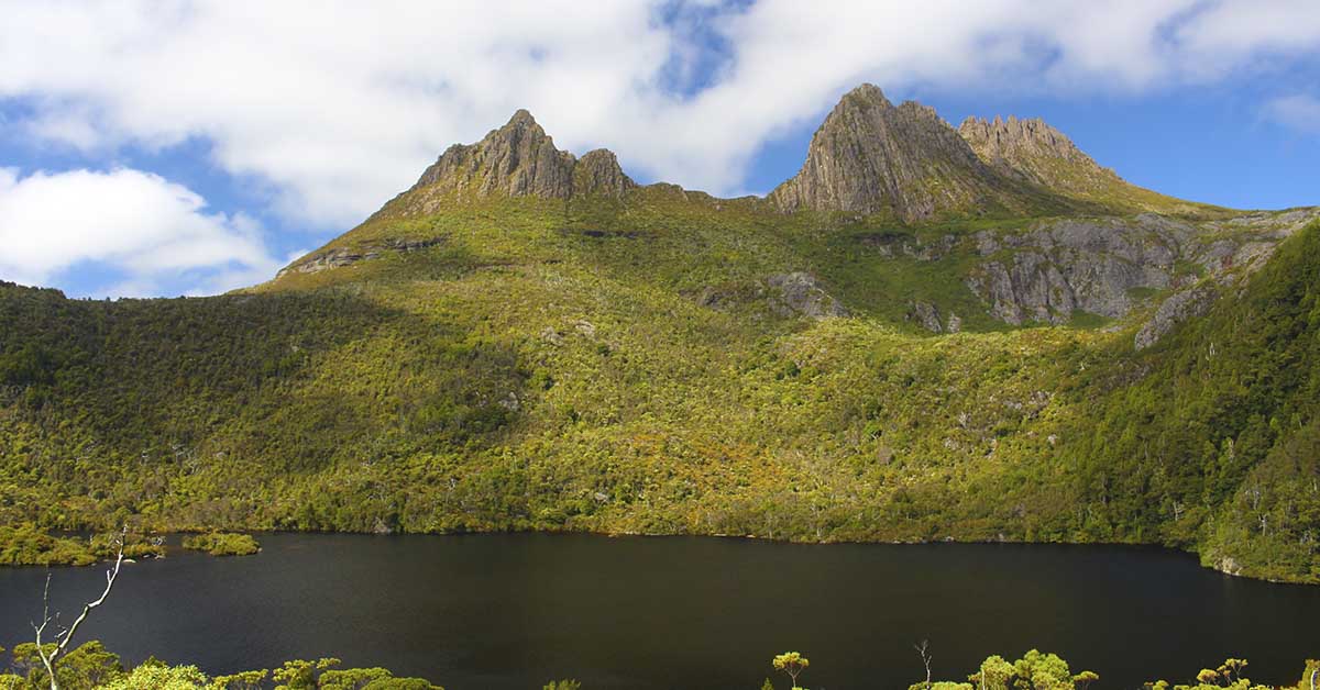 grassy mountains