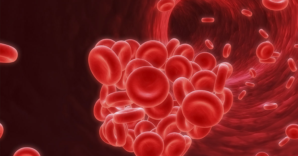 3d rendering of red blood cells flowing through artery