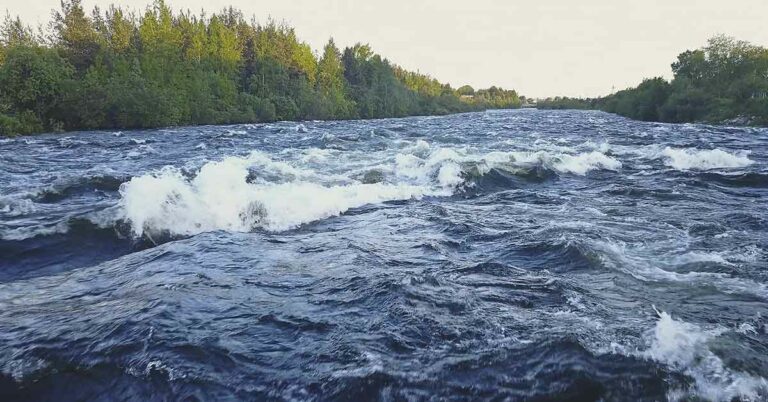 Medics Mistook Teen for Dead After River Rescue—Then the Unexpected Happened - Featured image