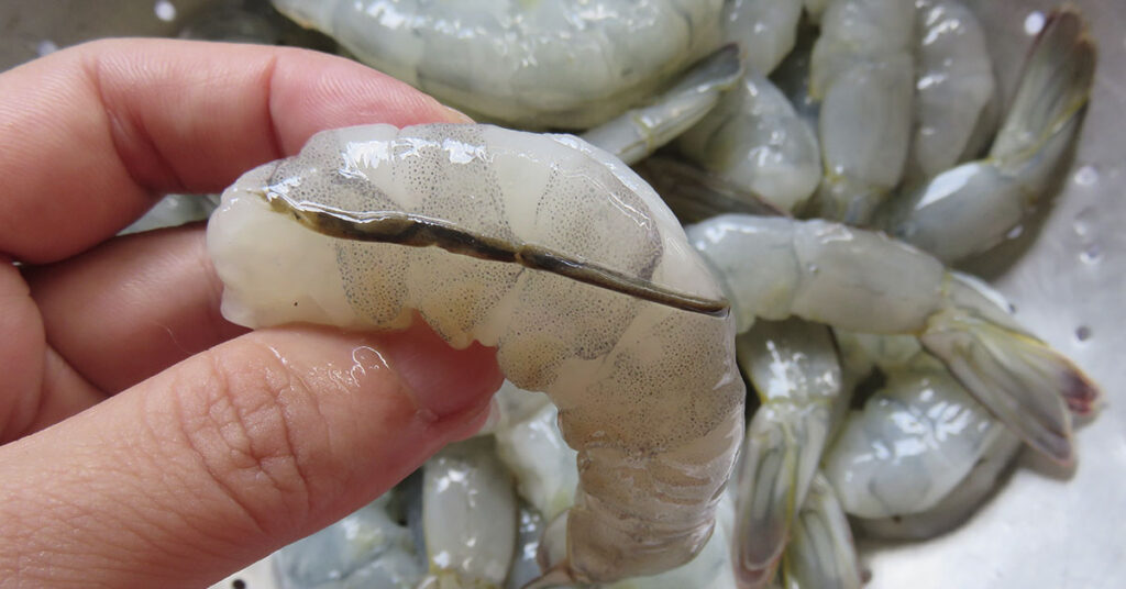 How To Prepare Shrimp and Why You Shouldn’t Eat That ‘Black Vein’ - Featured image