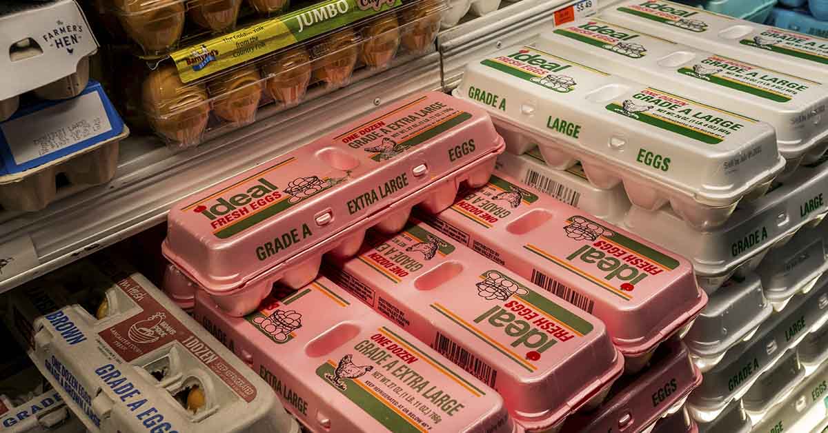 cartons of eggs on store shelves