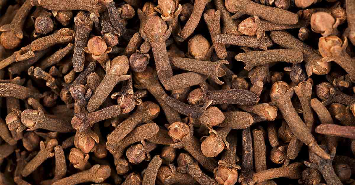 Cloves