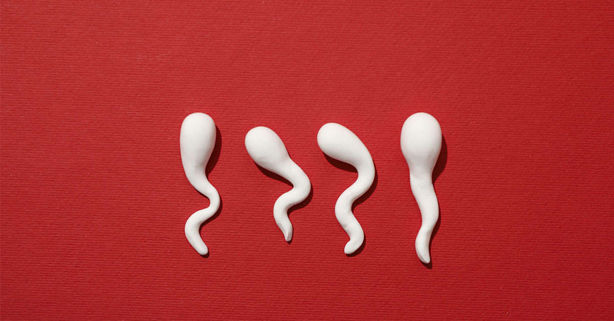 4 sperm with red background. Male reproduction and male contraceptive concept