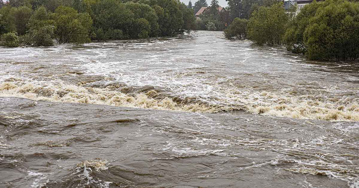 flooded area, which is an overflow of water onto normally dry land