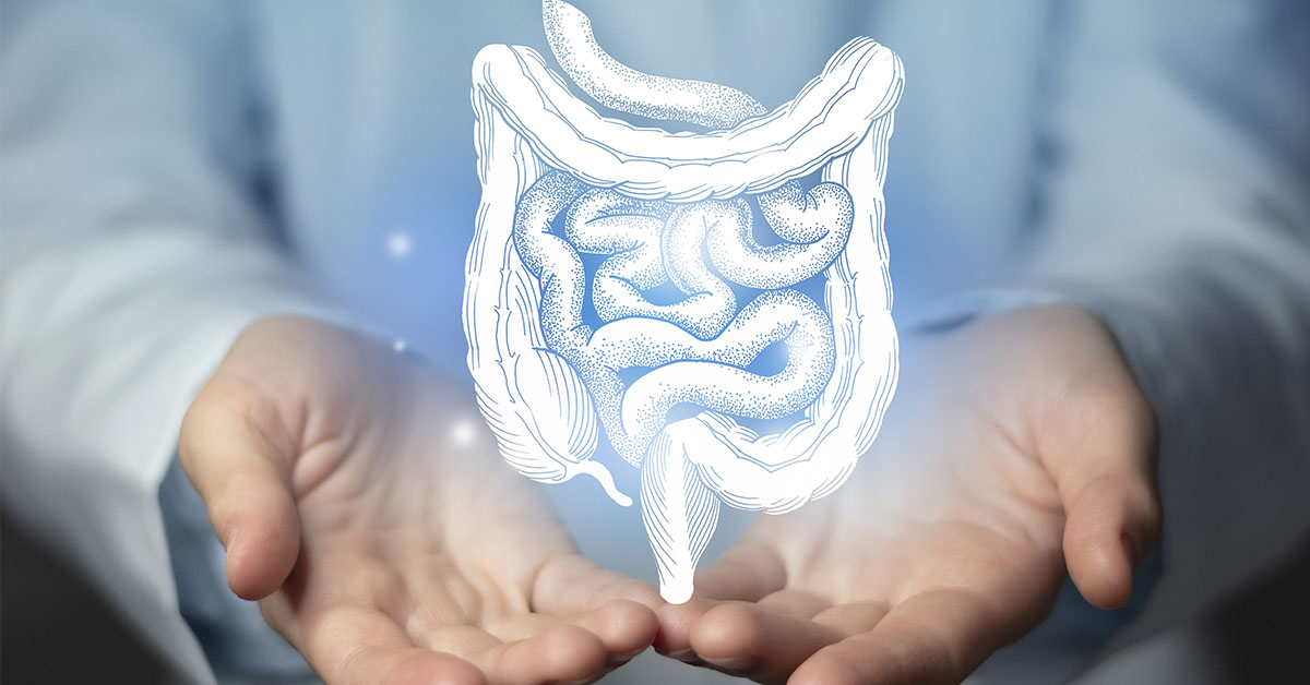 Intestine issues medical concept. Photo of female doctor, empty space.