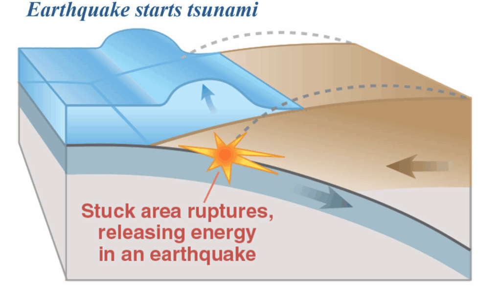 Underground cross section showing how stuck area ruptures and releases energy in an earthquake that pushes up massive amounts of ocean water.