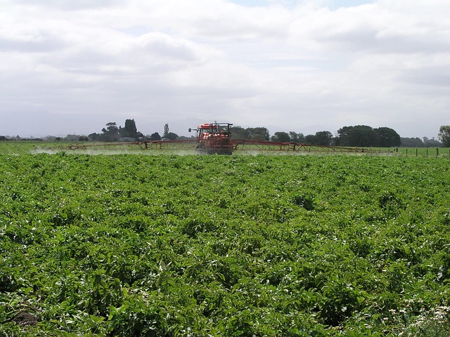spraying crops