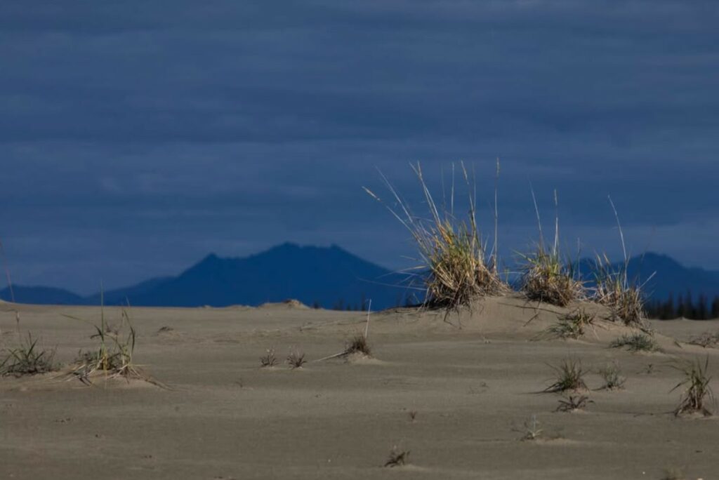 The Great Kobuk Sand Dunes