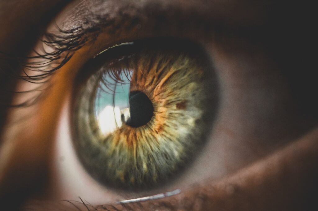 cloe up of an eye, color, retinal thinning as an early sign of dementia