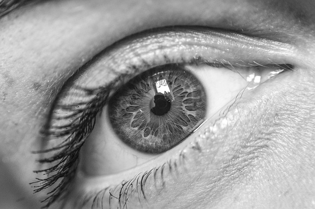 close up of an eye