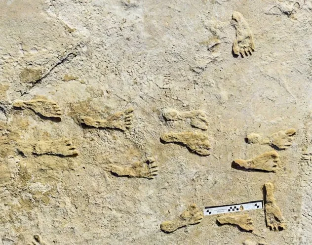 Footprints discovered in White Sands National Park, New Mexico, have been dated to 23,000 years ago, providing the earliest clear evidence of human presence in North America