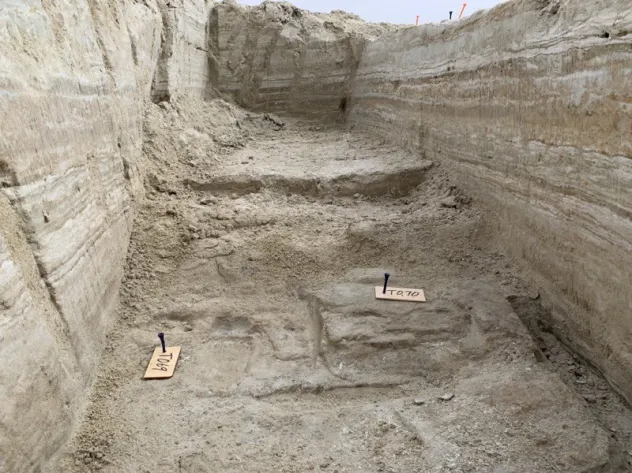 Archaeological digs at White Sands National Park have uncovered human footprints at the bottom of a trench.