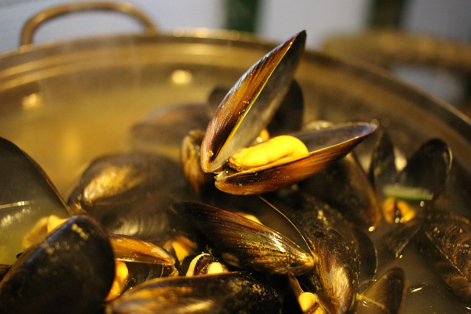 Fresh black mussels cooking in a golden broth with their shells partially opened, revealing the orange-yellow flesh inside that can contain microplastics from ocean pollution.