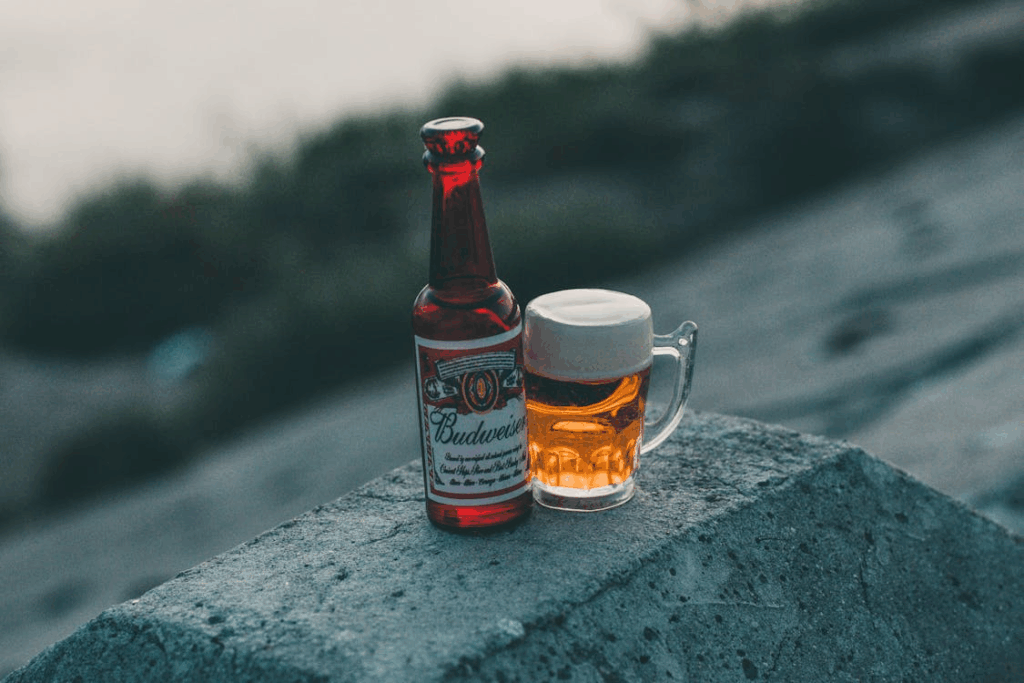 A Bottle and Mug Containing Beer