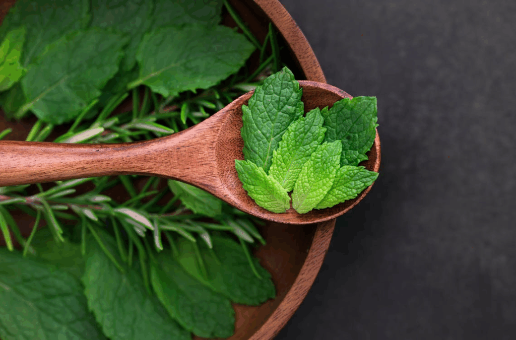 Close-Up Shot of Mint Leaves on a Spoon