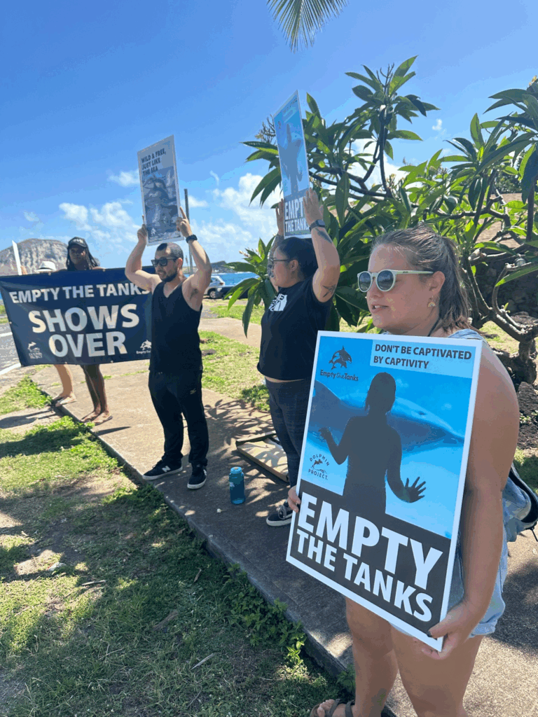 Protesters holding signs on the streets for the release of sea creatures in tanks.