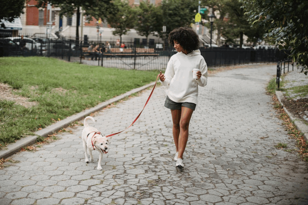 Woman walking a small dog on a path in a park setting, demonstrating how to make walking stick as a daily habit by finding enjoyable activities and accountability partners.