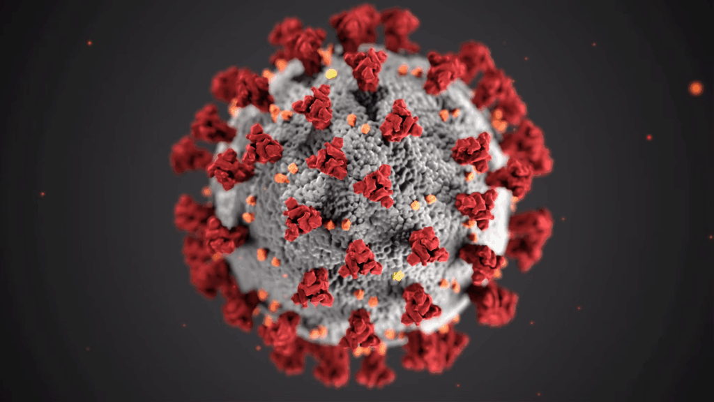 A detailed 3D rendering of the coronavirus structure shows the characteristic spike proteins in red protruding from the gray viral surface. This scientific visualization represents one of the false predictions wrongly attributed to the manga artist through social media misinformation campaigns.