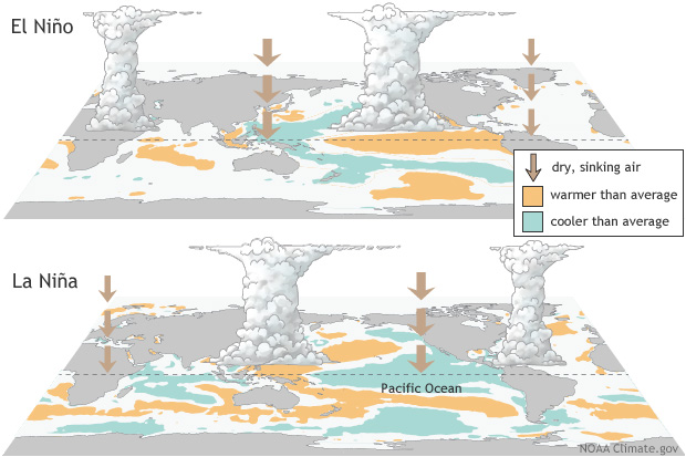 Climate change diagram showing El Niño and La Niña patterns that cause 70 percent more beach erosion and make rising seas amplify tsunami risk everywhere in the USA.