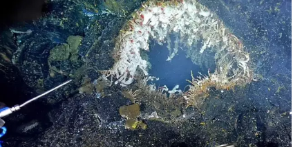 The underwater volcano