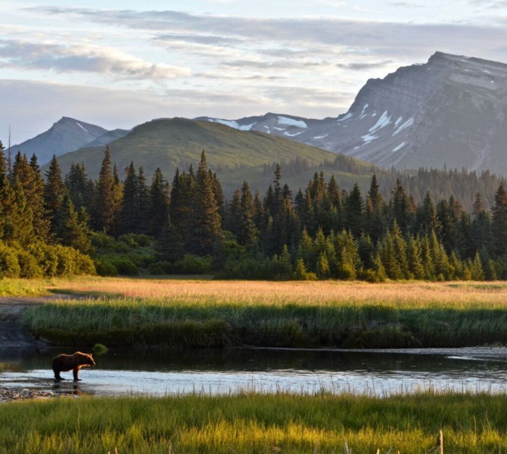 Lake Clark National Park and Preserve, Alaska