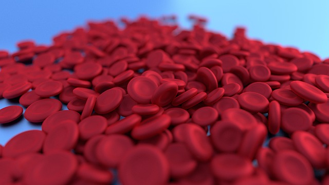 blood cells