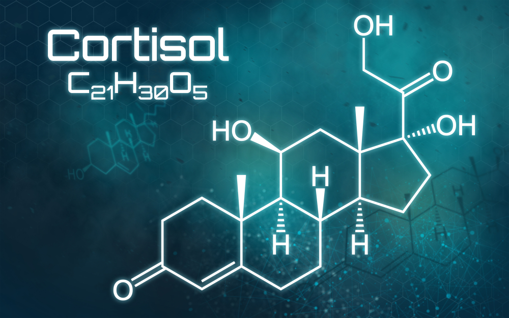 Chemical formula of Cortisol