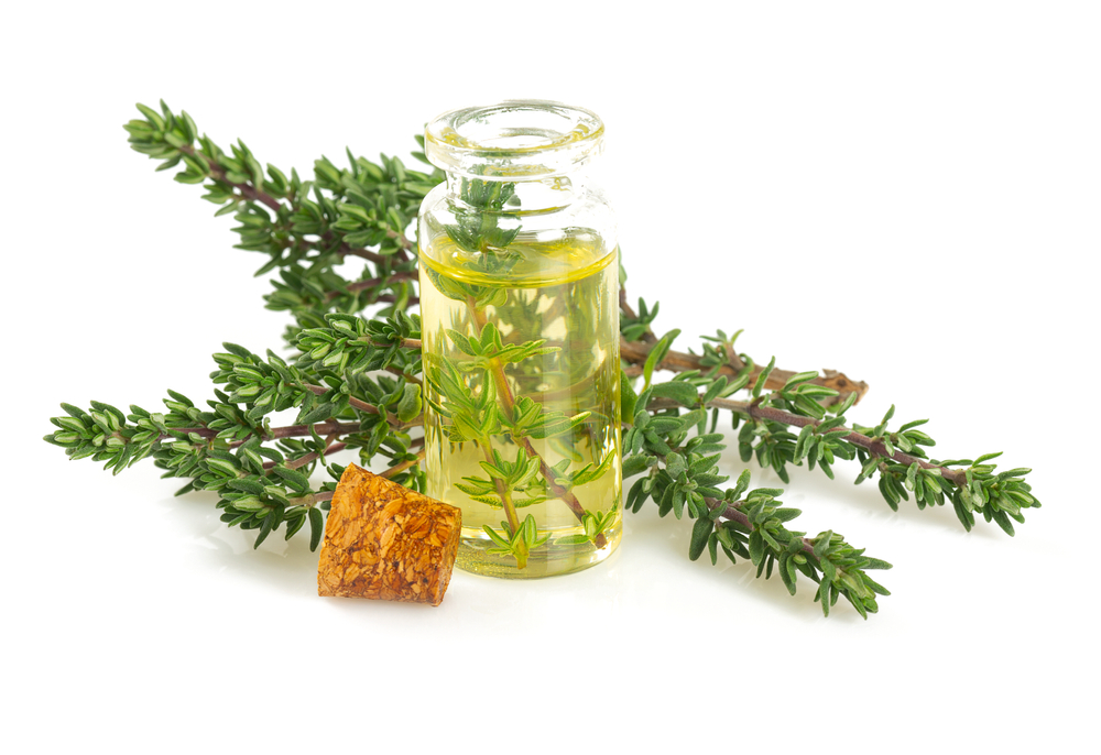 thyme oil isolated on white