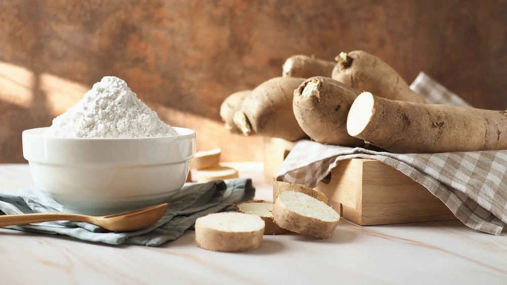 Healthy food trend, gluten-free diet theme cassava flour in white ceramic bowl over pastel blue and white napery with wooden spoon on wooden table with sliced and tuberous roots of fresh raw cassava.