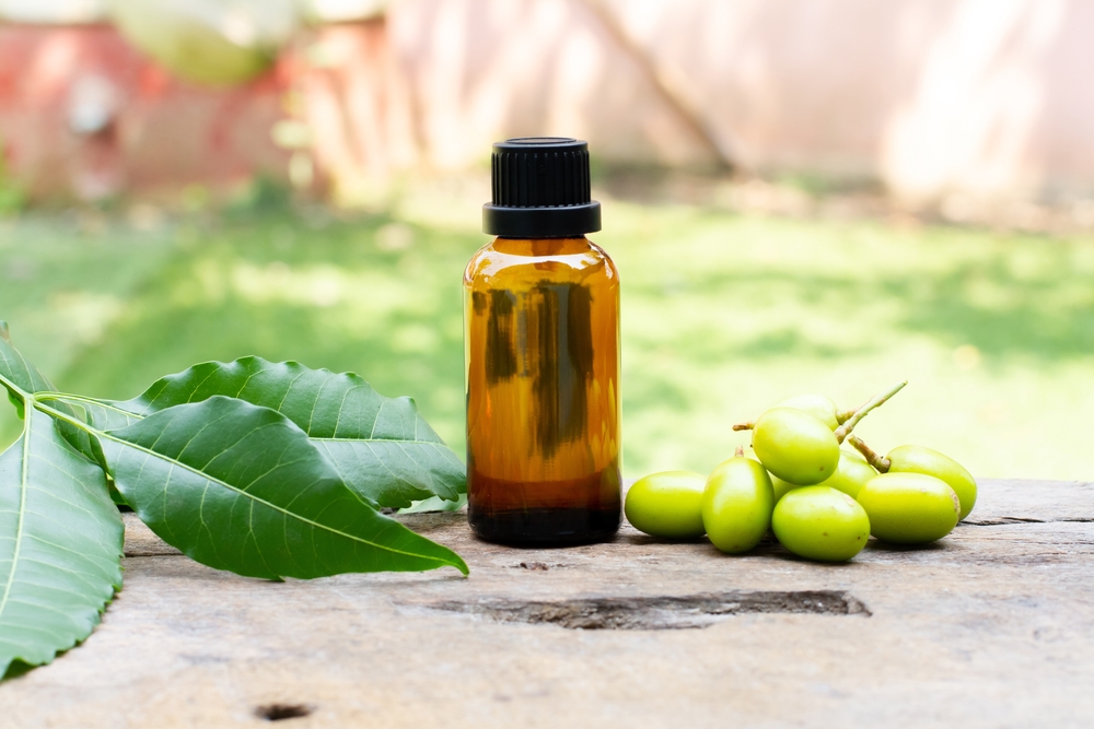 Neem oil in glass bottle with neem fruit and green leaf on wooden and blur background on sunny day.