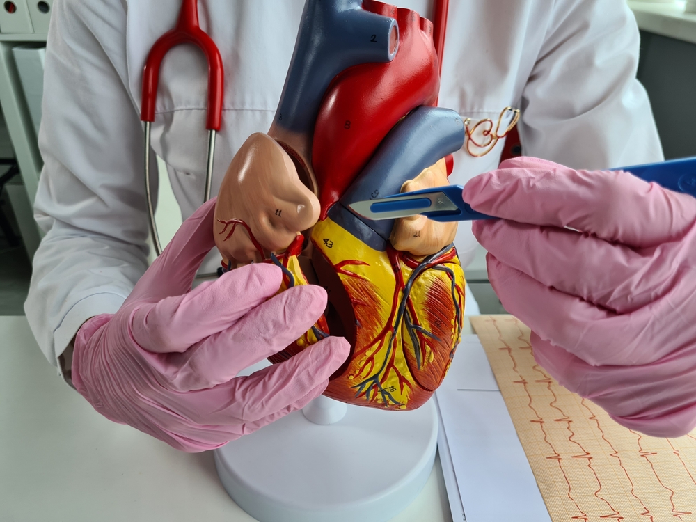 Doctor holds scalpel and concept of cardiac surgery. Treatment of heart diseases of the cortex and blood vessels with surgical operations