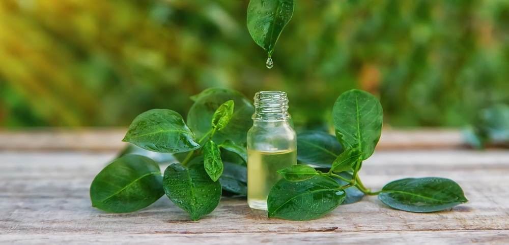 Bottled tea tree essential oil. Selective focus. Nature.