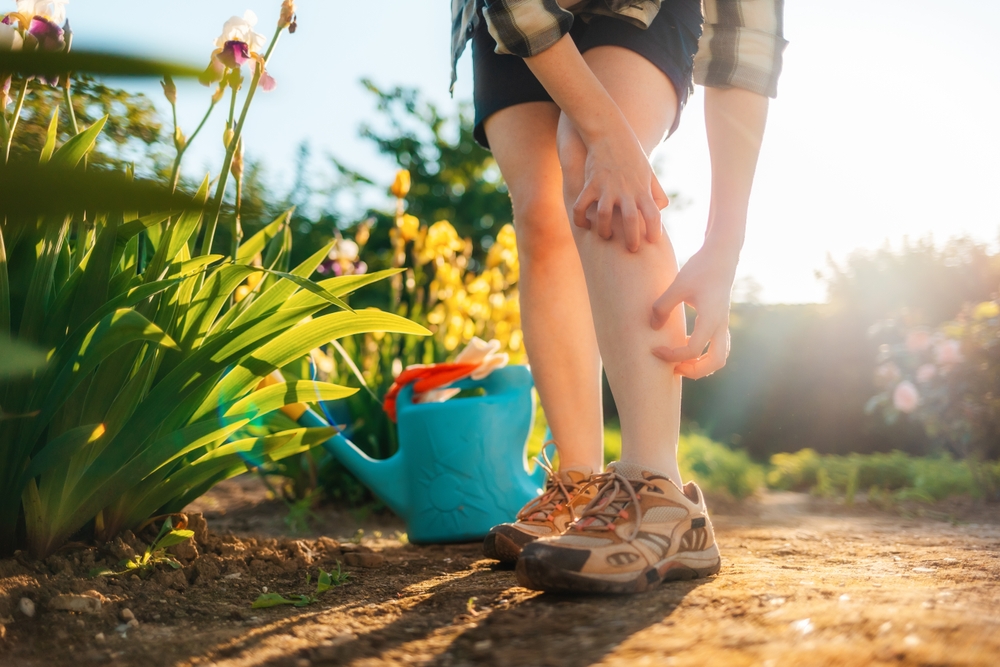 Woman scratches her leg, which is itchy from a mosquito bite. Close up of legs. Summer garden on the background. Allergies and insect bites concept.