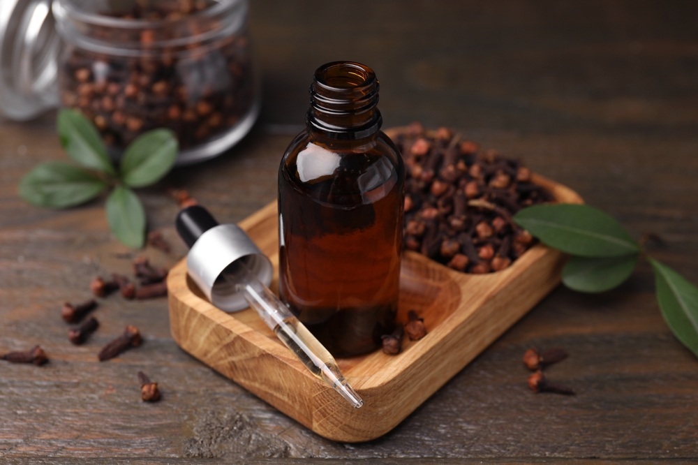 Clove oil in bottle, pipette and dried buds on wooden table, closeup