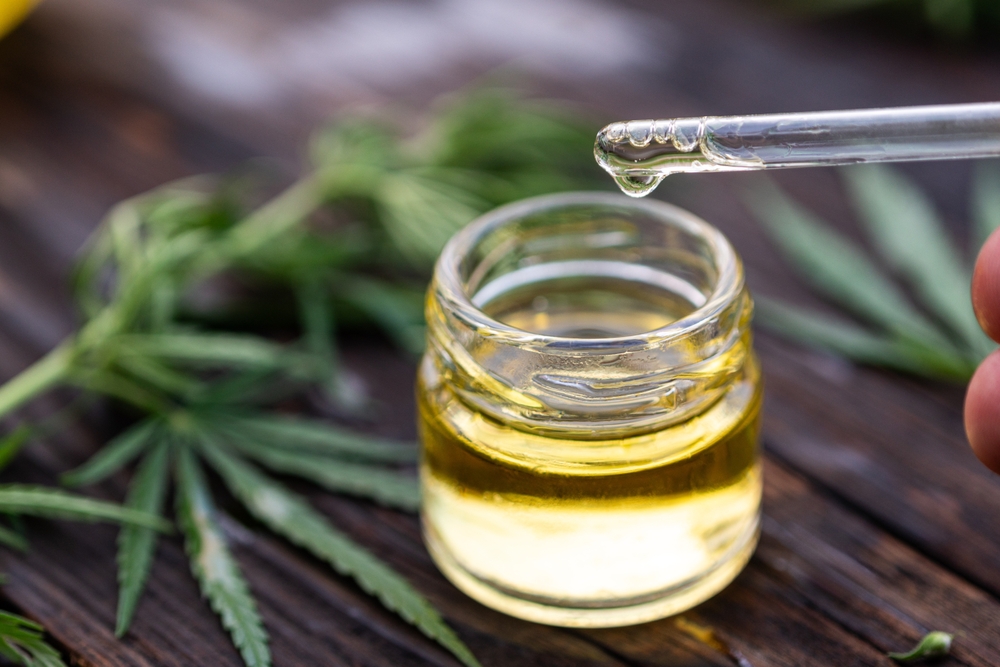Yellow oil drips into glass bottle from a pipette. Cosmetic oil. A drop of hemp oil. Dropper with oil close-up.