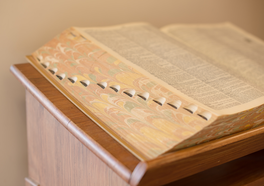 beautiful color of dictionary spine.
