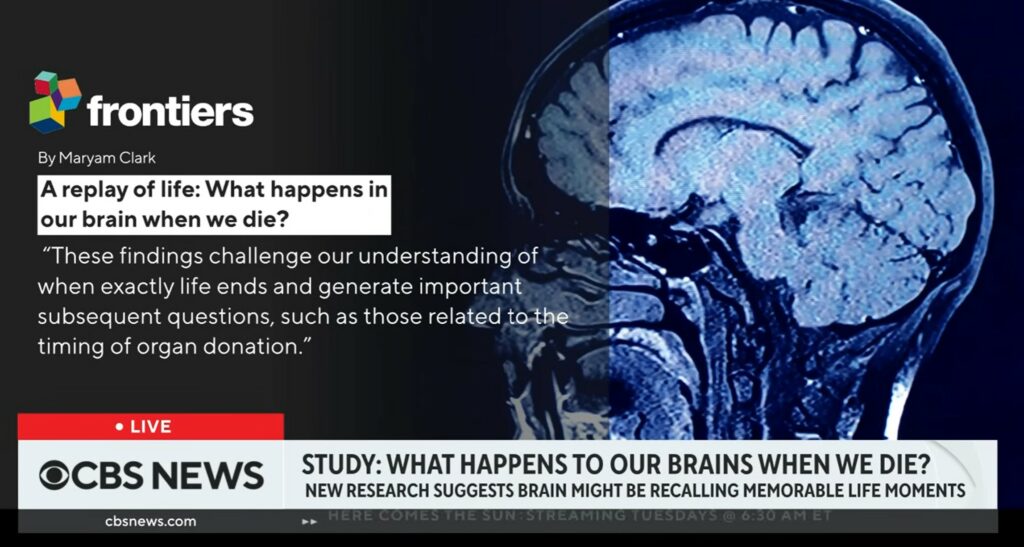 Study about what happens when we die brain activity at death