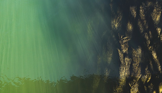 underwater scene