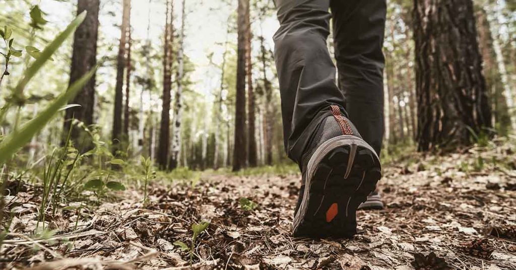 The Unique Benefits of Hiking for Mind and Body - Featured image