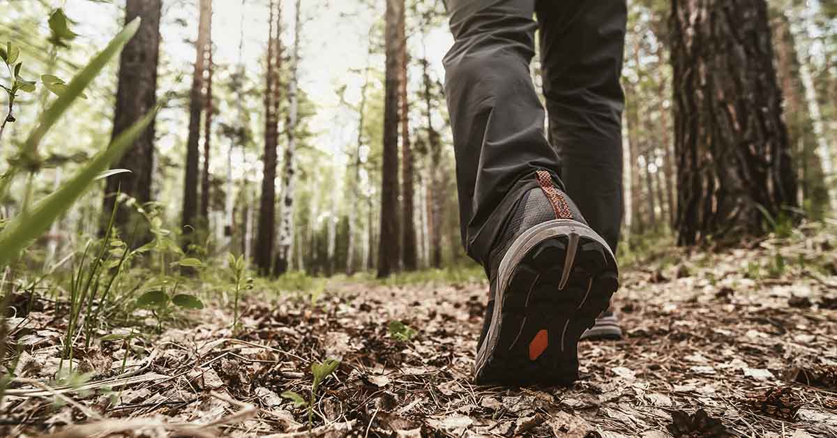 person hiking through a forest.
