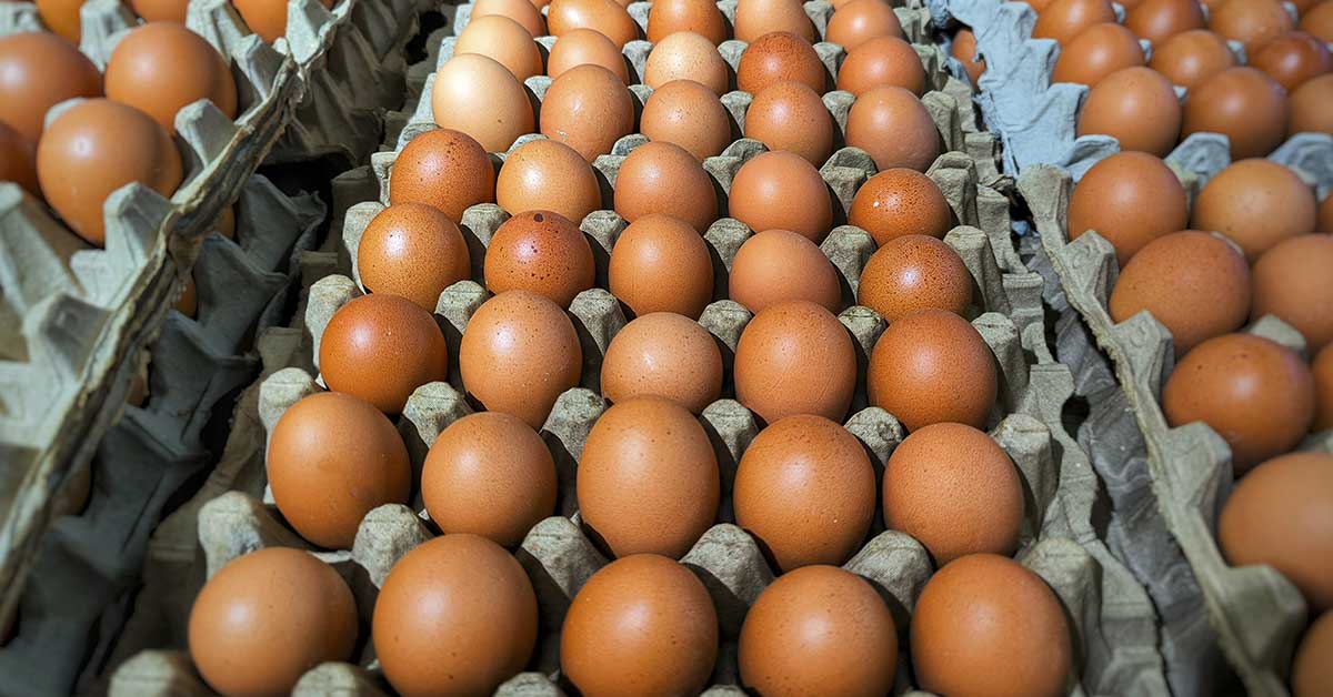 crate of brown chicken eggs