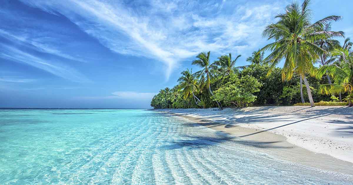 tropical beach with white sands, blue clear water and palm trees