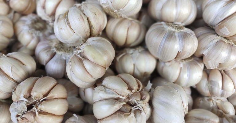 A 114-Year-Old’s Top 5 Foods for a Long and Healthy Life - Featured image