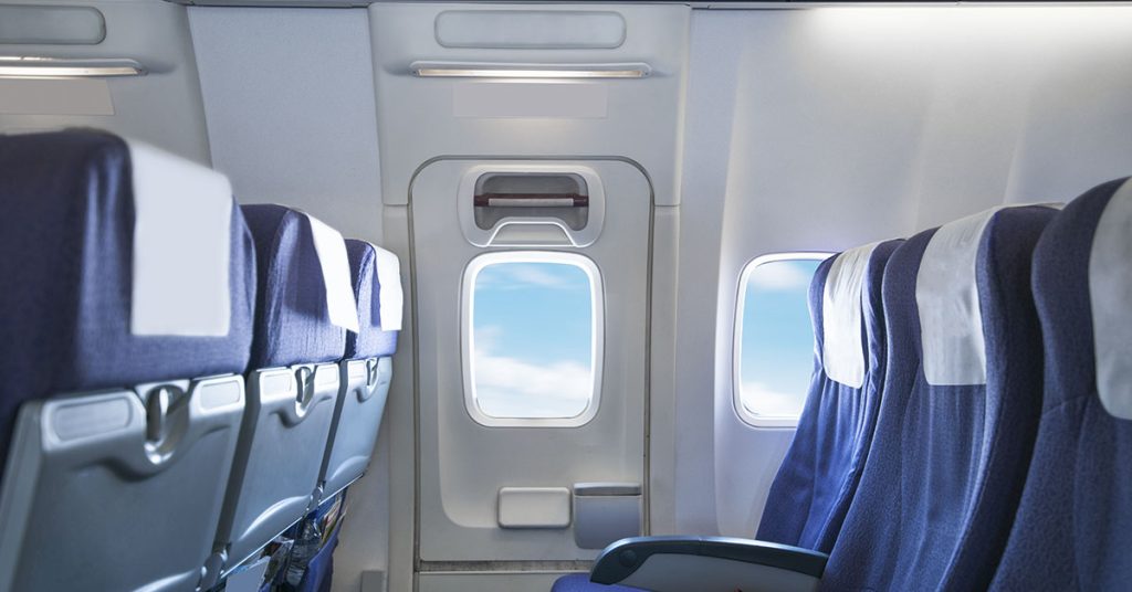 Italy Opens Cabin Access to Larger Dogs, Transforming Pet Travel - Featured image