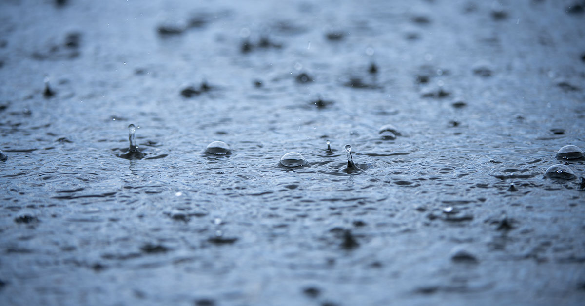 rain drops in large body of water