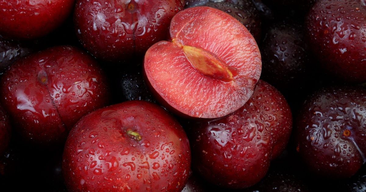 Wet cherry plums close
