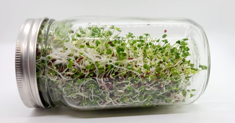 Why ‘Old People Smell’ Happens and How One Superfood May Help Prevent It - Featured image