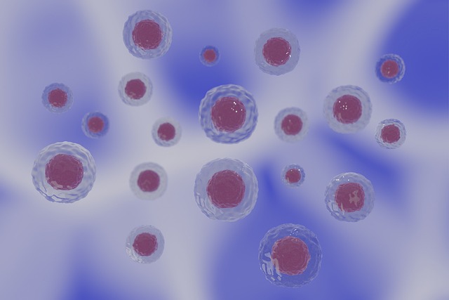 CG rendering of cells