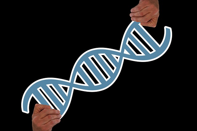 DNA strand